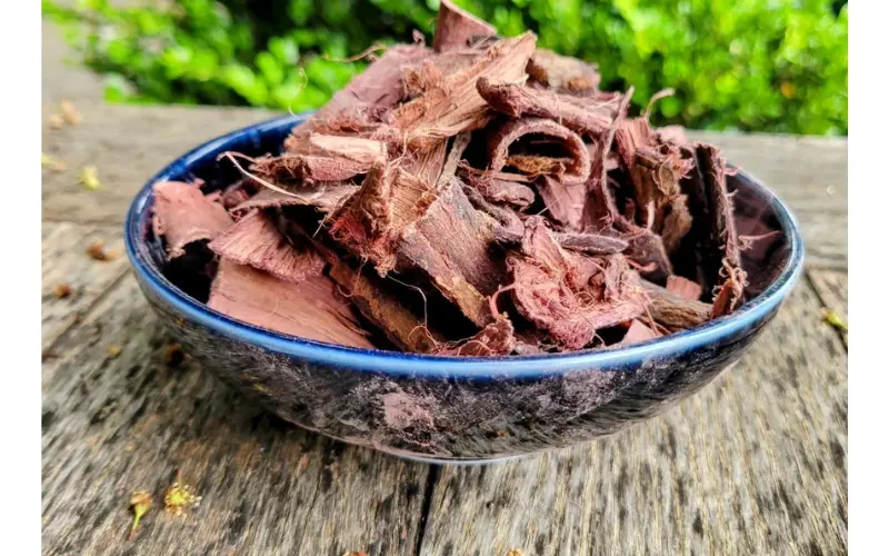best place to buy mimosa hostilis root bark